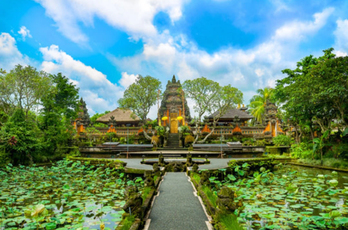GO, GROW & GLOW Retreat Bali