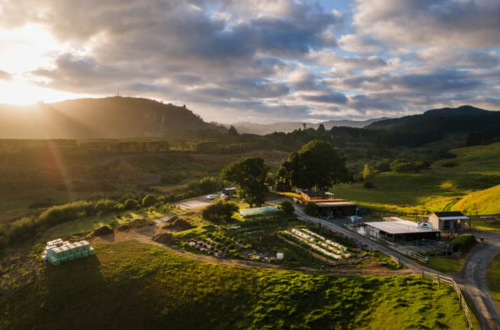 GO, GROW & GLOW Retreat Luzon